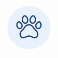 Best for icon
